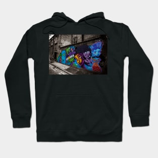 Graffiti 101 Hoodie